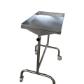 Hospital Instrument Medical Double Stand Trolley